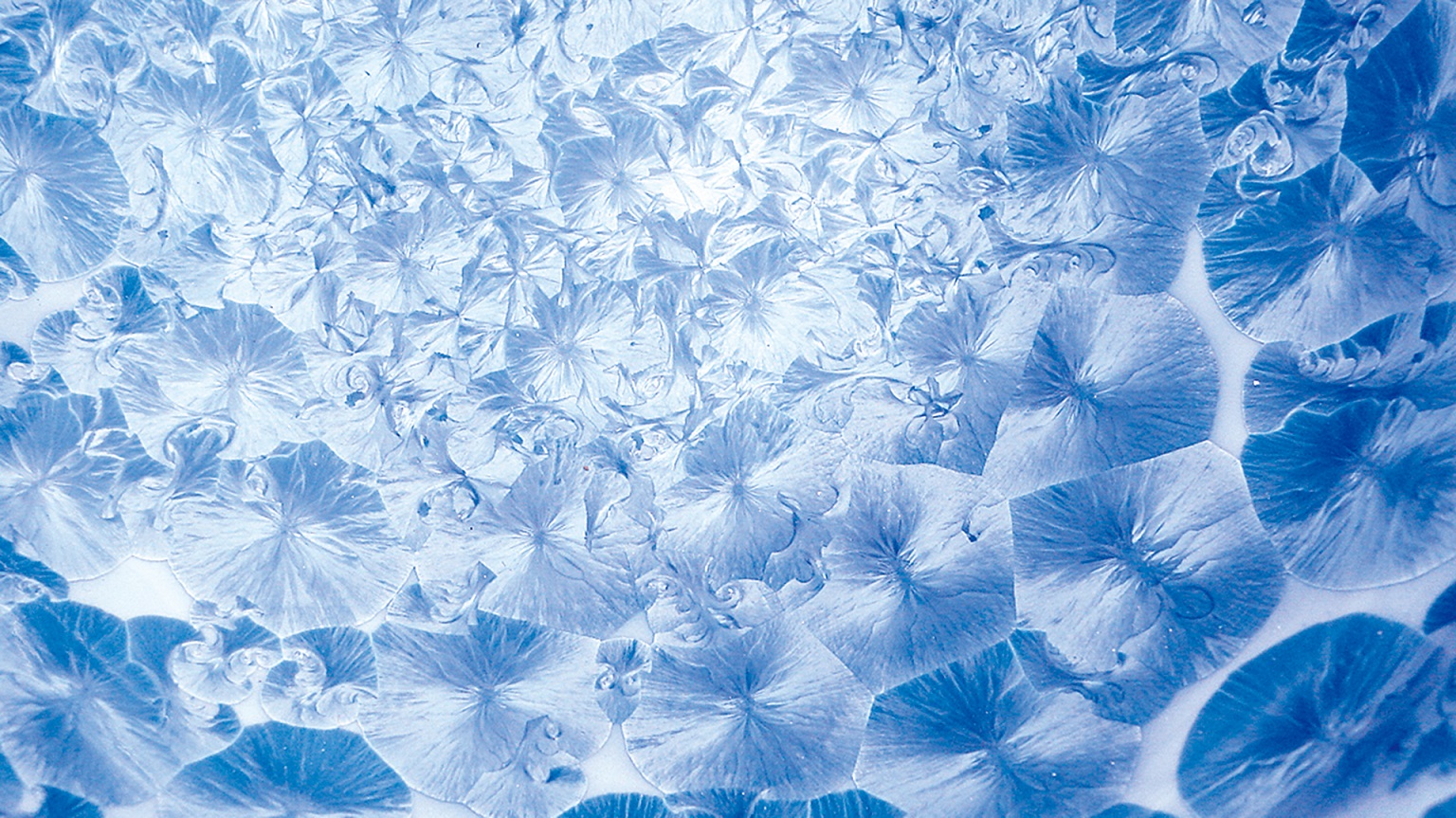 Hanakessho (Flower Crystal) (image1)
